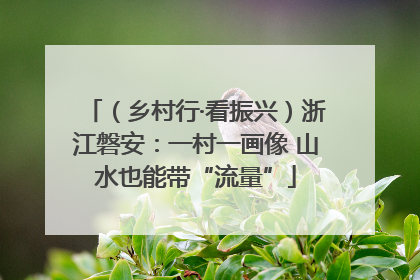 （乡村行·看振兴）浙江磐安：一村一画像 山水也能带“流量”