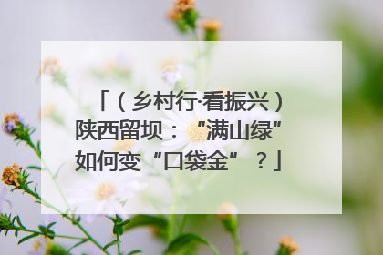 （乡村行·看振兴）陕西留坝：“满山绿”如何变“口袋金”？