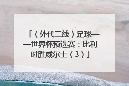 （外代二线）足球——世界杯预选赛：比利时胜威尔士（3）