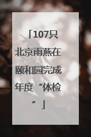 107只北京雨燕在颐和园完成年度“体检”