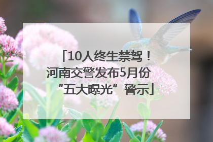 10人终生禁驾！河南交警发布5月份“五大曝光”警示