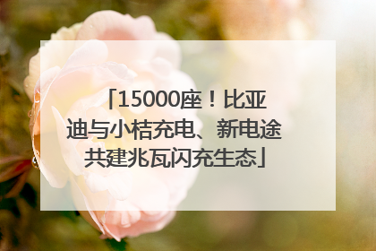 15000座！比亚迪与小桔充电、新电途共建兆瓦闪充生态