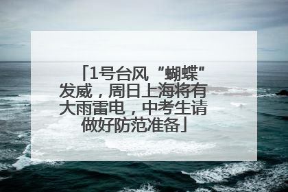 1号台风“蝴蝶”发威，周日上海将有大雨雷电，中考生请做好防范准备