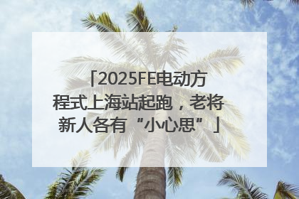 2025FE电动方程式上海站起跑，老将新人各有“小心思”