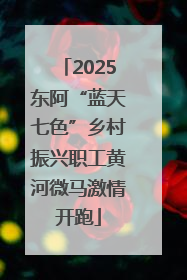 2025东阿“蓝天七色”乡村振兴职工黄河微马激情开跑