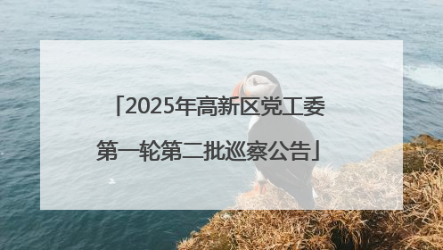2025年高新区党工委第一轮第二批巡察公告