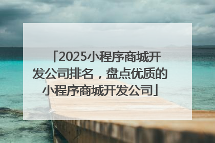 2025小程序商城开发公司排名，盘点优质的小程序商城开发公司