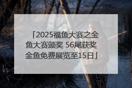 2025福鱼大赛之金鱼大赛颁奖 56尾获奖金鱼免费展览至15日