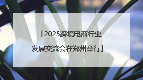2025跨境电商行业发展交流会在郑州举行
