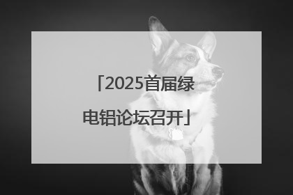 2025首届绿电铝论坛召开