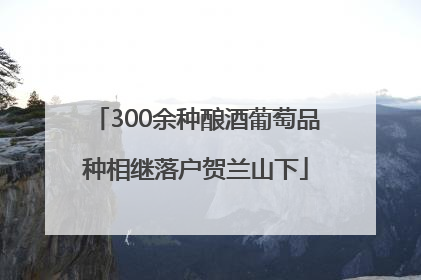 300余种酿酒葡萄品种相继落户贺兰山下