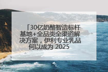 30亿奶酪智造标杆基地+全品类全渠道解决方案，伊利专业乳品何以成为 2025 焙烤展 MV