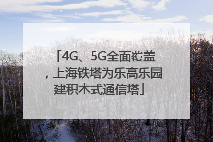 4G、5G全面覆盖，上海铁塔为乐高乐园建积木式通信塔