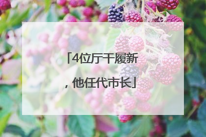 4位厅干履新，他任代市长
