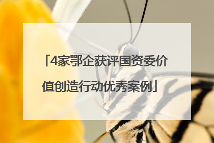 4家鄂企获评国资委价值创造行动优秀案例