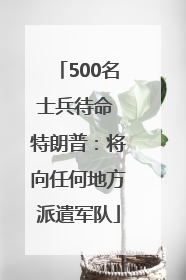 500名士兵待命 特朗普：将向任何地方派遣军队
