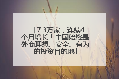7.3万家，连续4个月增长！中国始终是外商理想、安全、有为的投资目的地