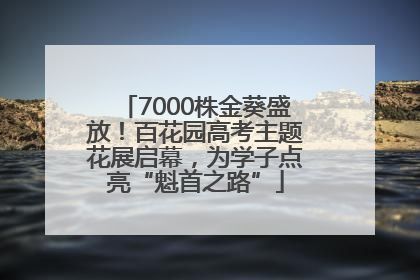 7000株金葵盛放！百花园高考主题花展启幕，为学子点亮“魁首之路”