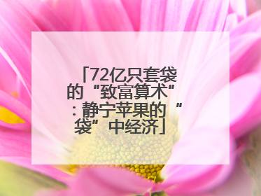 72亿只套袋的“致富算术”：静宁苹果的“袋”中经济