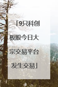 9只科创板股今日大宗交易平台发生交易