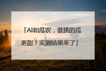 AI和瓜农，谁挑的瓜更甜？实测结果来了