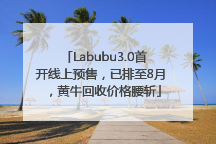 Labubu3.0首开线上预售，已排至8月，黄牛回收价格腰斩